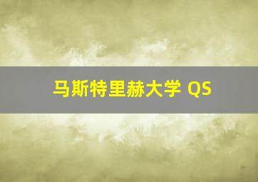 马斯特里赫大学 QS